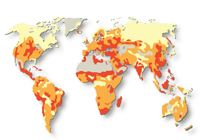 Soil degradation world map