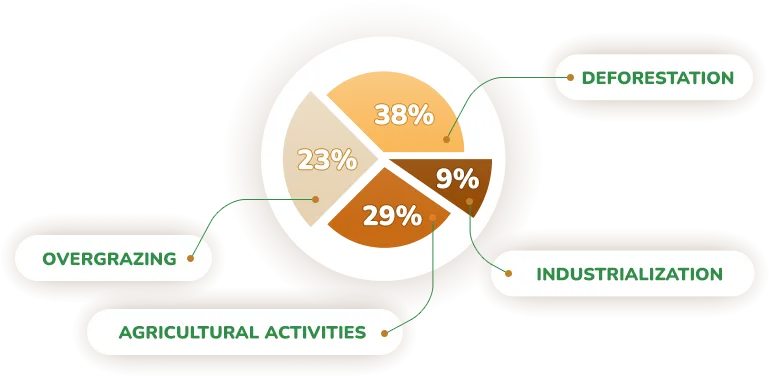 Soil degradation reasons infographic