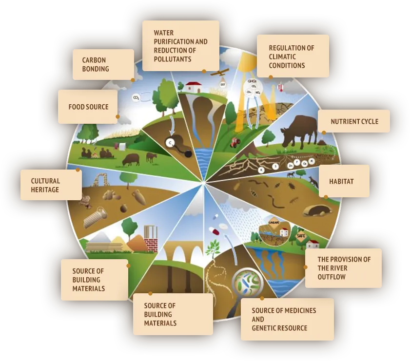 SOIL FUNCTIONS